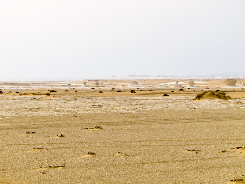 Ägypten Wüste libysche-5423