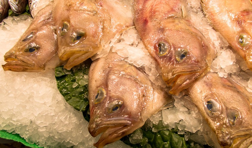 Barcelona Fischmarkt